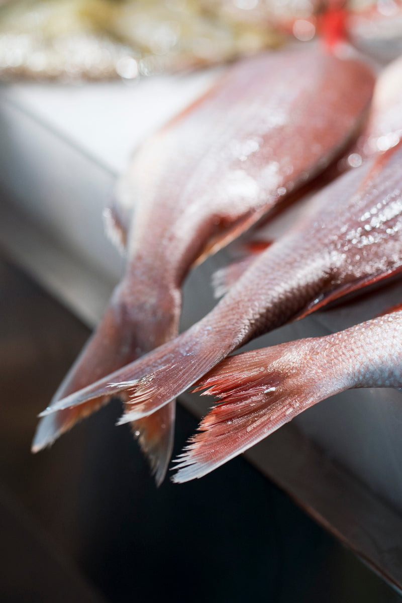 Pesca sostenible