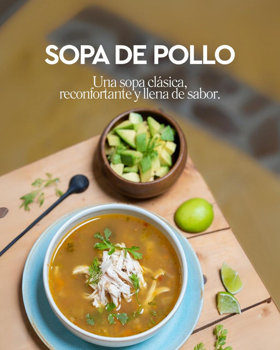 Sopa de pollo casera con fondo de pollo Primario